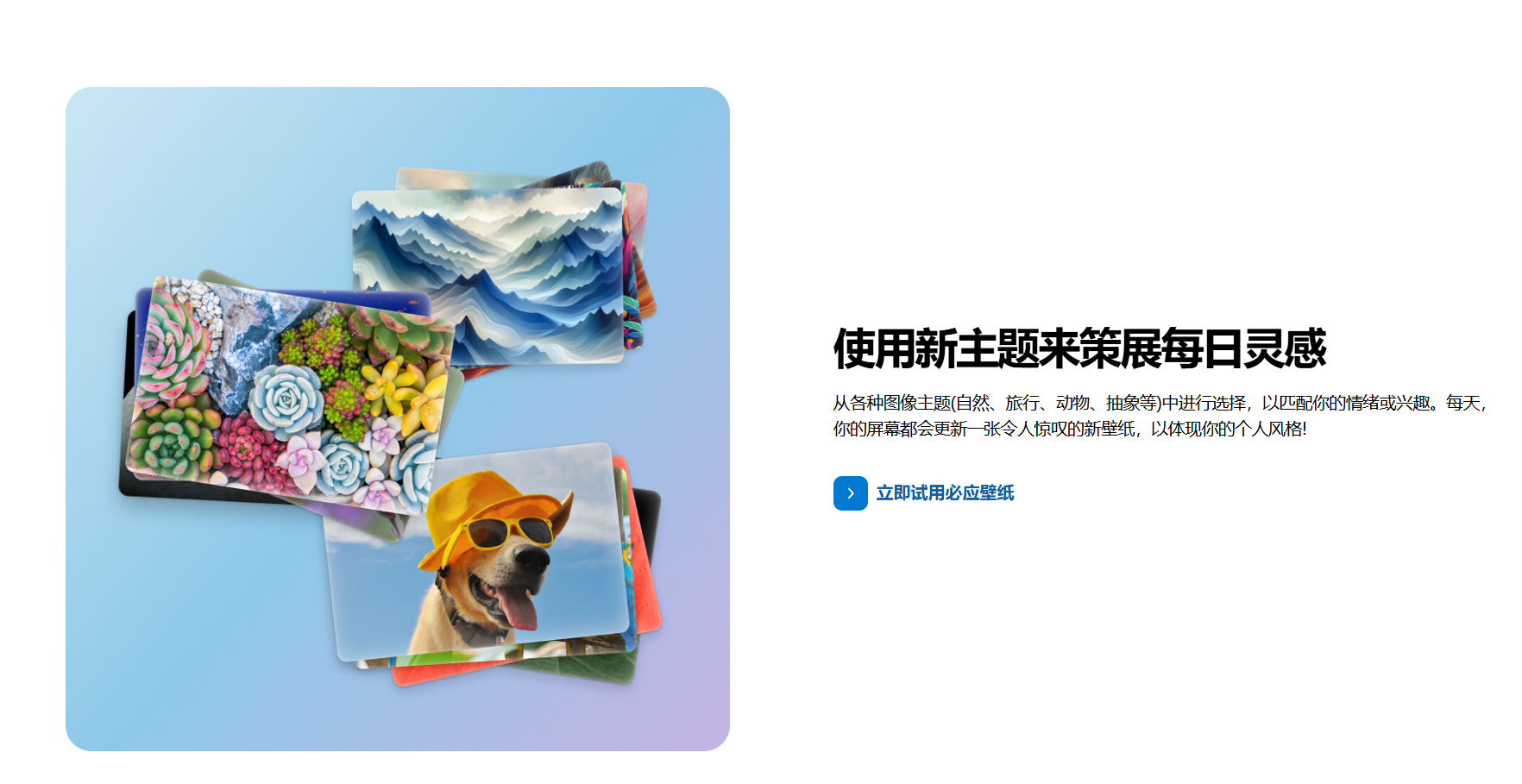 Bing壁纸|每日自动焕新，足不出户环游世界地标